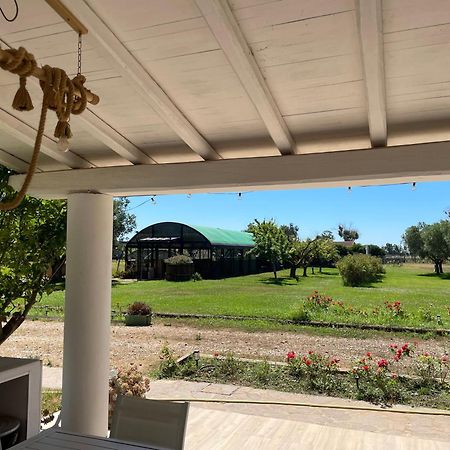 Villa Olga Tarquinia Exterior photo
