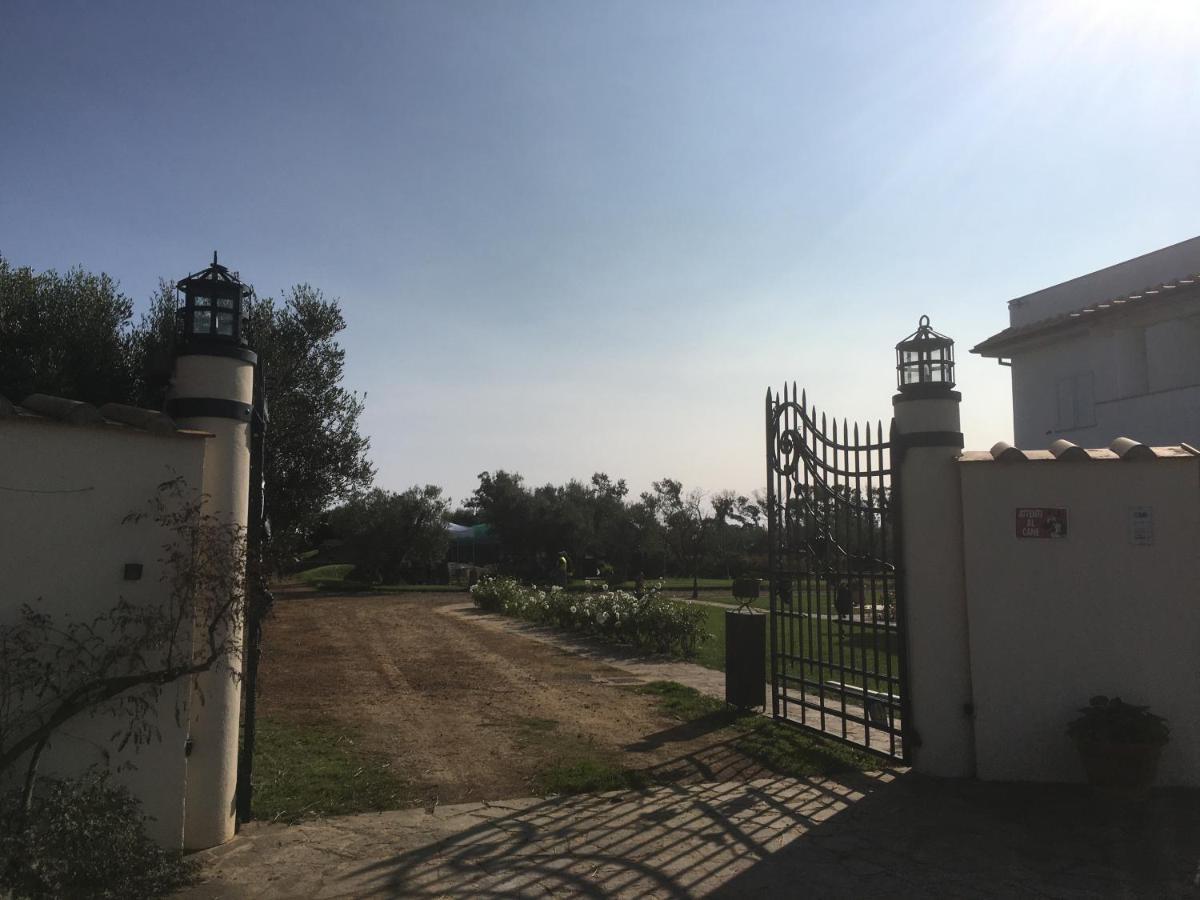 Villa Olga Tarquinia Exterior photo