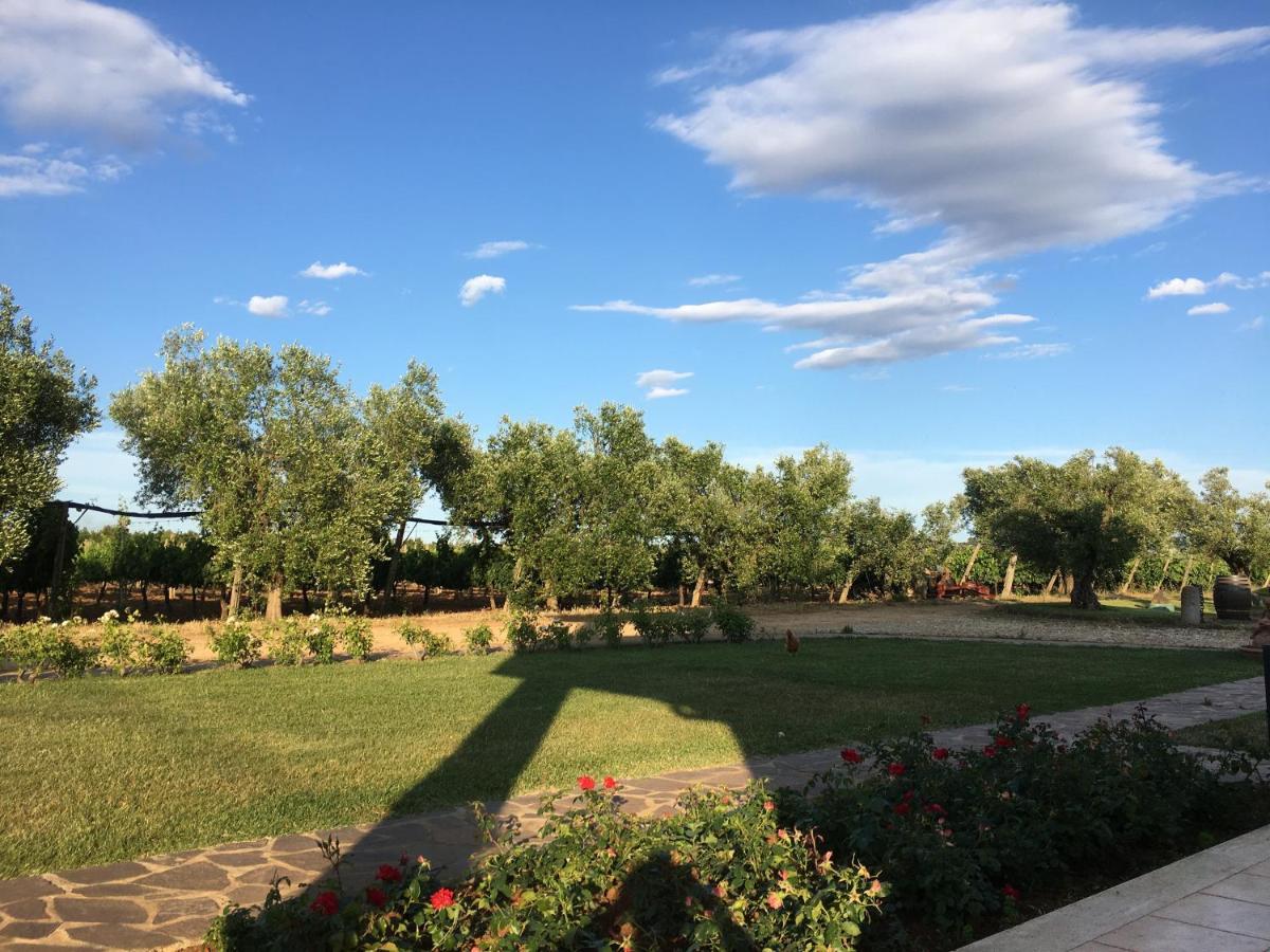 Villa Olga Tarquinia Exterior photo