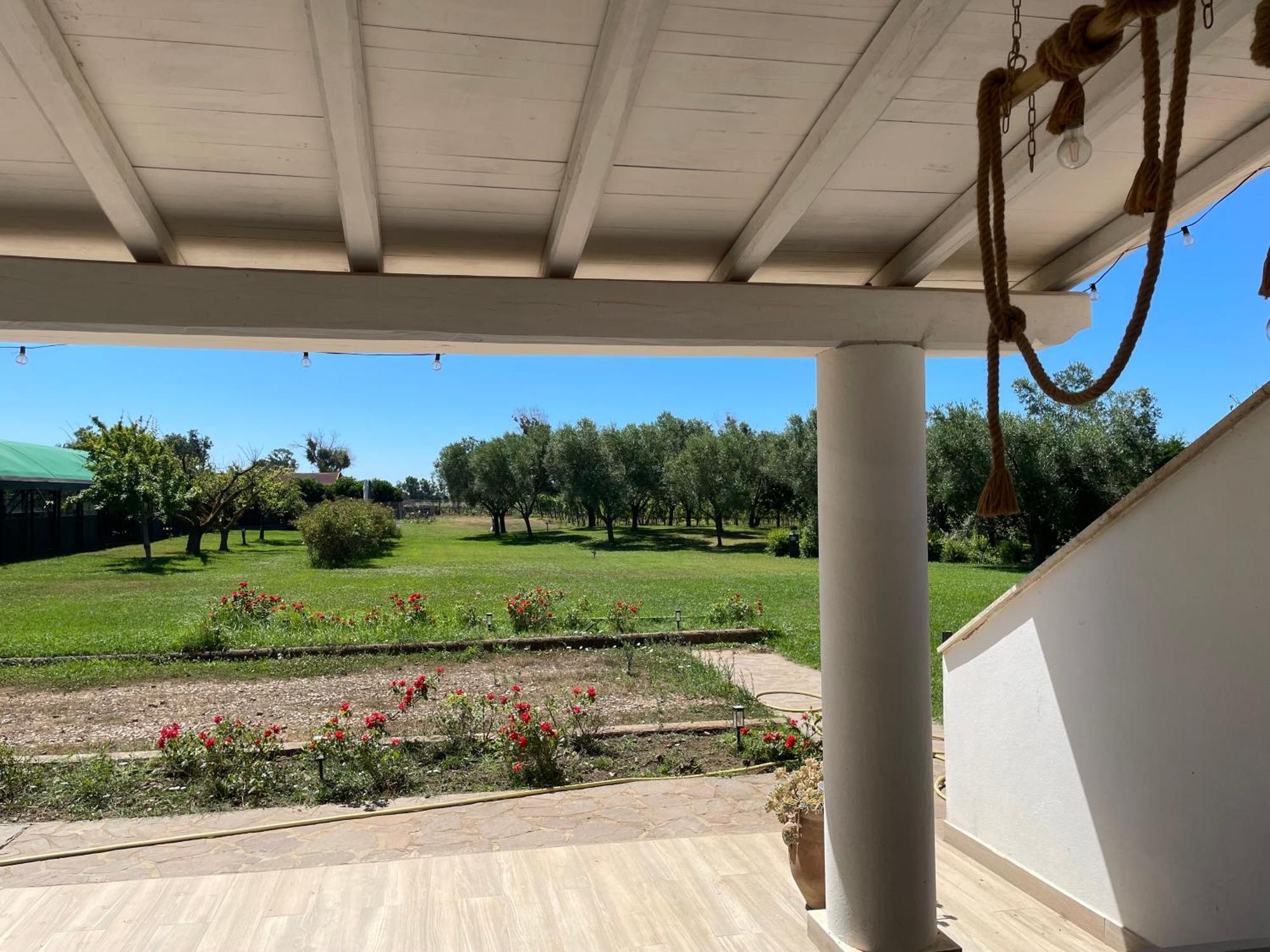Villa Olga Tarquinia Exterior photo