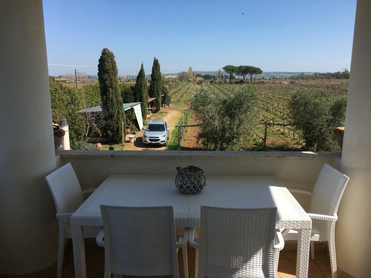 Villa Olga Tarquinia Exterior photo
